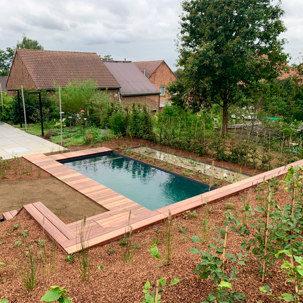 ecological pool by Geoblauw