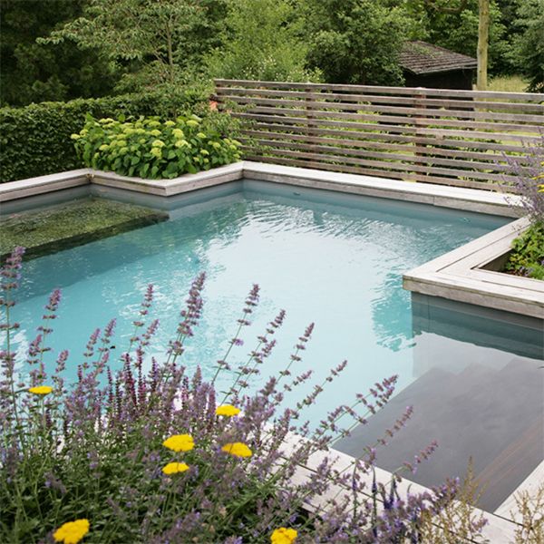 custom natural pool by Messner Gaerten