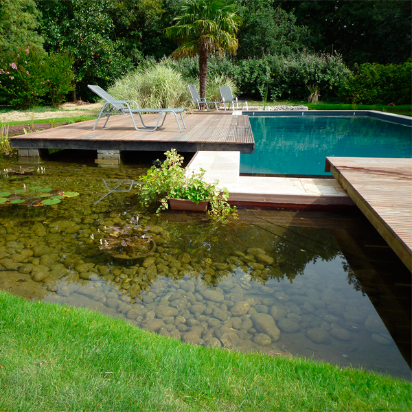 woestelandt natural pool