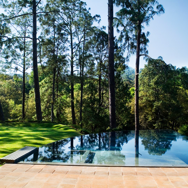 piscina infinity de forma redondeada en medio del bosque