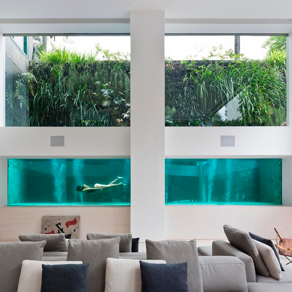 lap pool with underwater windows by Fernanda Marques