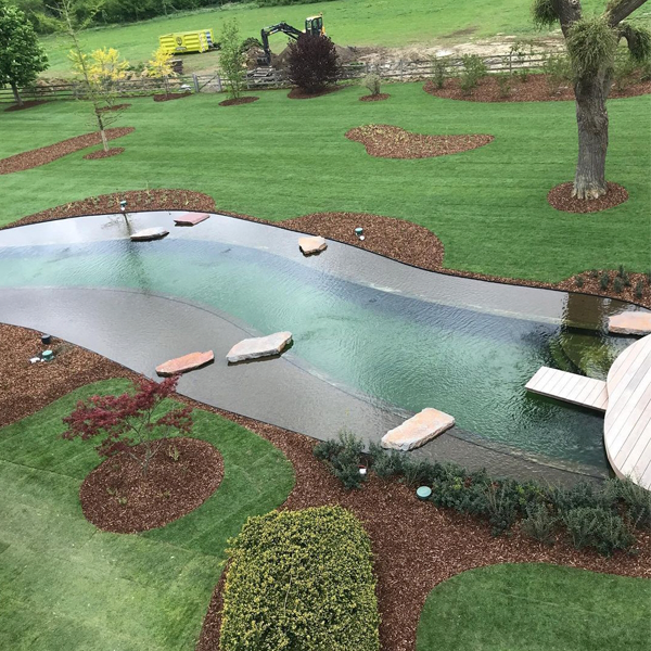 custom natural pool by Tuin Makers