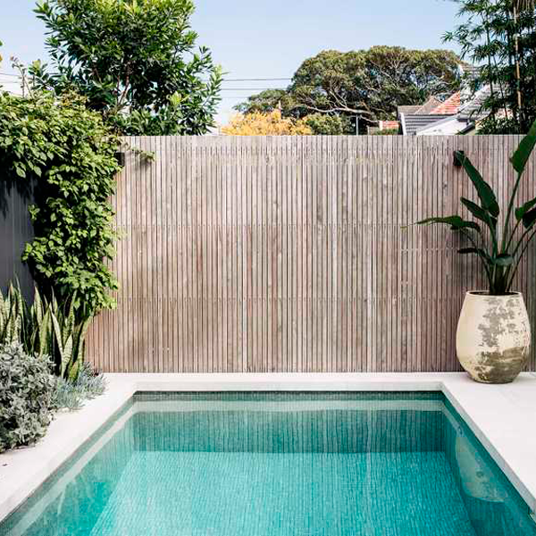 mini pool and garden