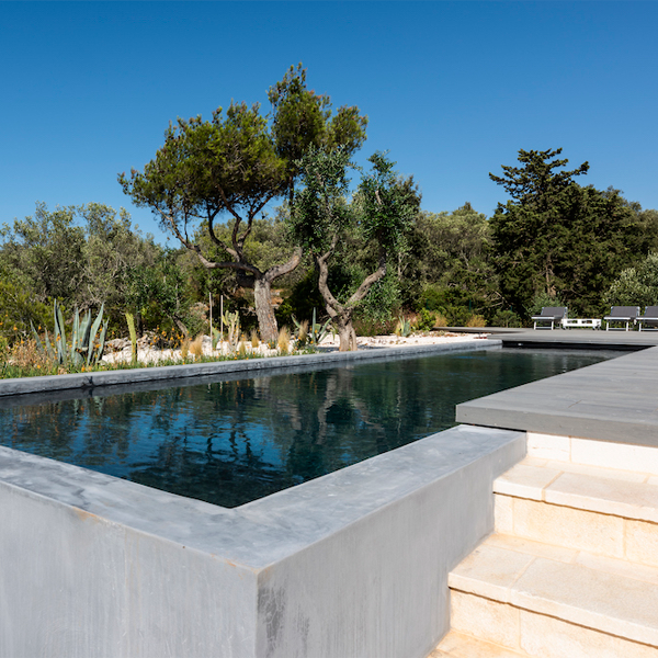 lap pool and lanscaping design by Vergati Creative Studio