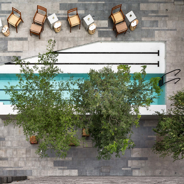 lap pool with pool window in Carlota Hotel by JSA