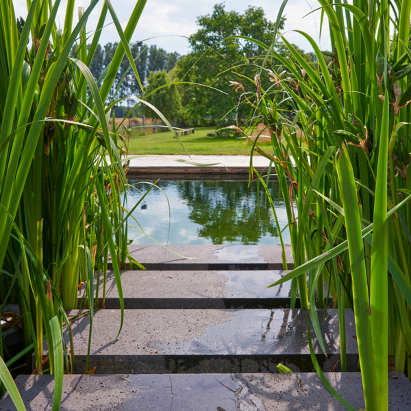entrance to a natural pool by Van Helvoirt Groenprojecten
