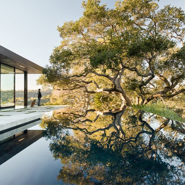 infinity pool in the project Oak Pass House, by Walker Workshop