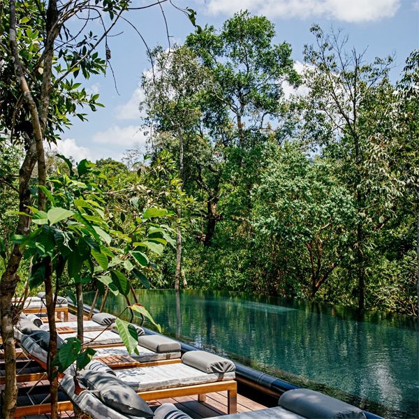 stainless steel infinity pool in a hotel in the middle of the jungle, by Bill Bensley Architects