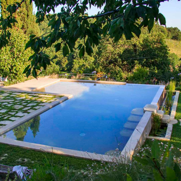 overflow rustic pool