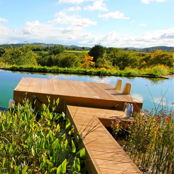 custom natural pool by Clear Water Revival