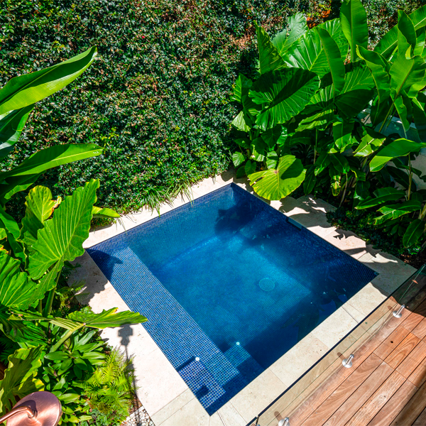 plunge pool in the garden