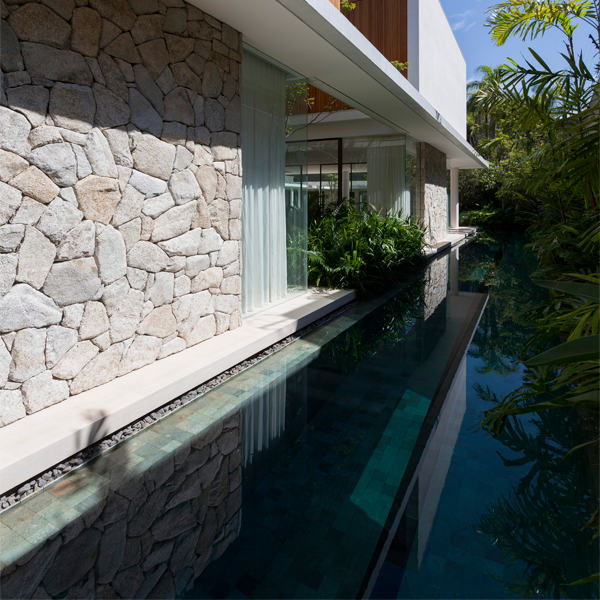 swim lane