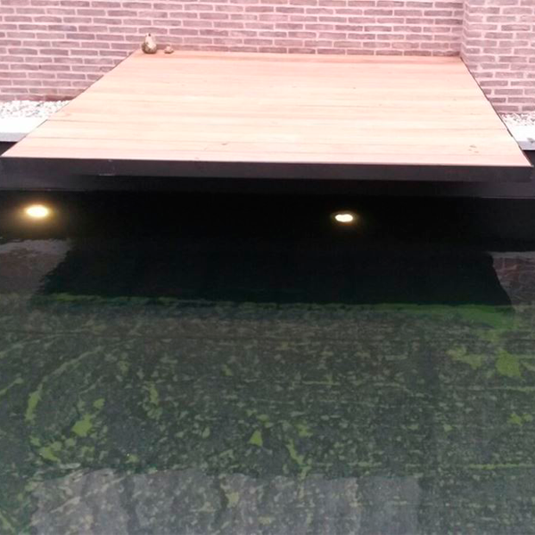 wood deck over natural pool
