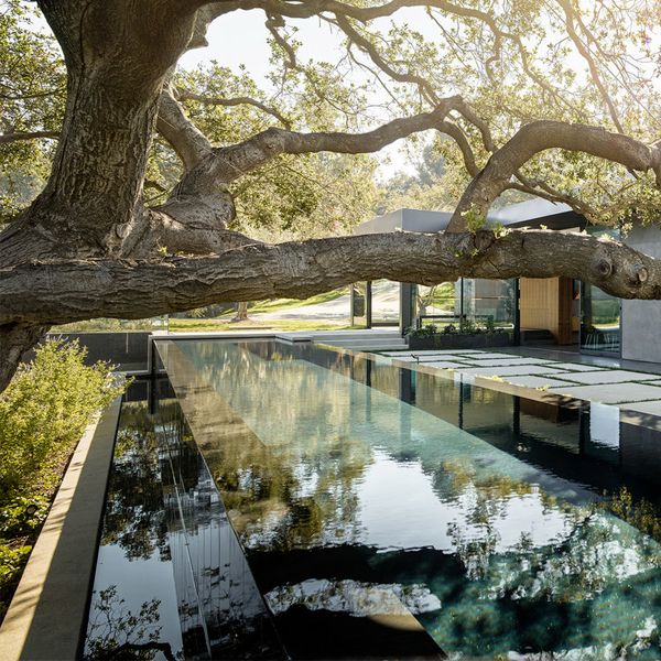 infinity lap pool in the project Oak Pass House, by Walker Workshop