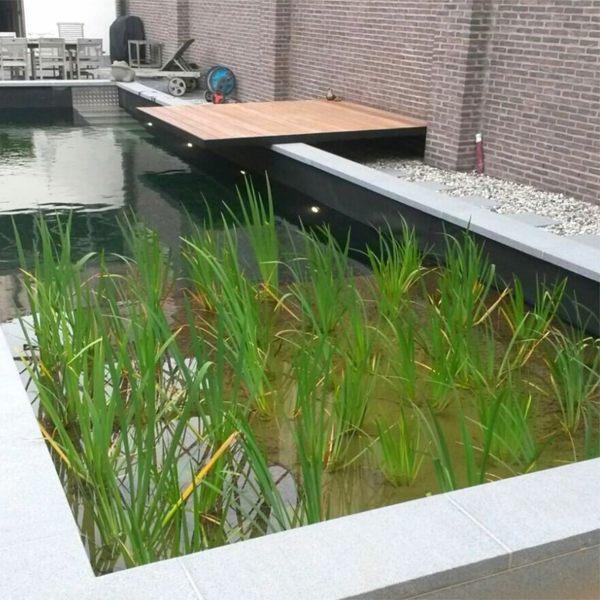 black natural pool
