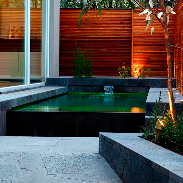 green overflow pool in the backyard