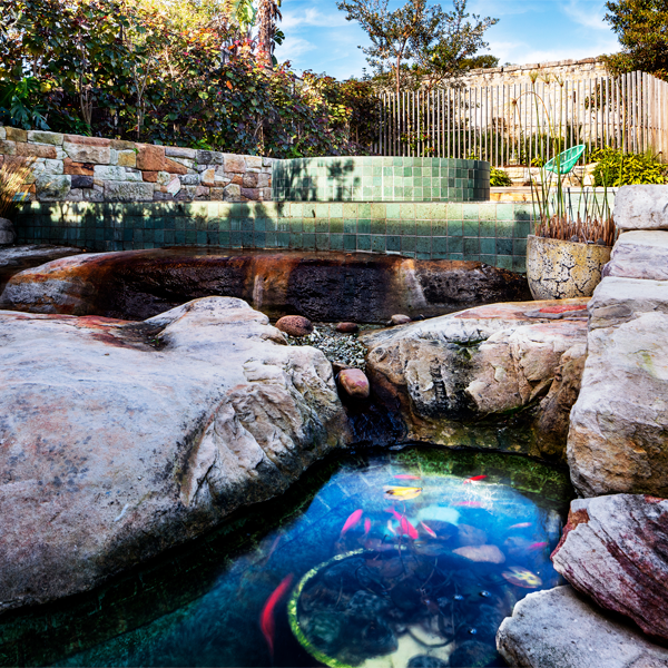natural pool and spa by Landforms
