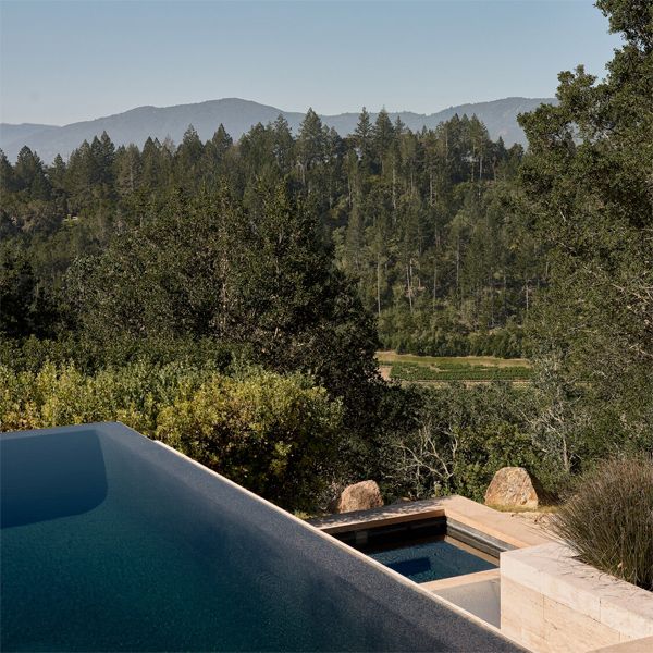 infinity pool and spa in a project by Piechota Architecture