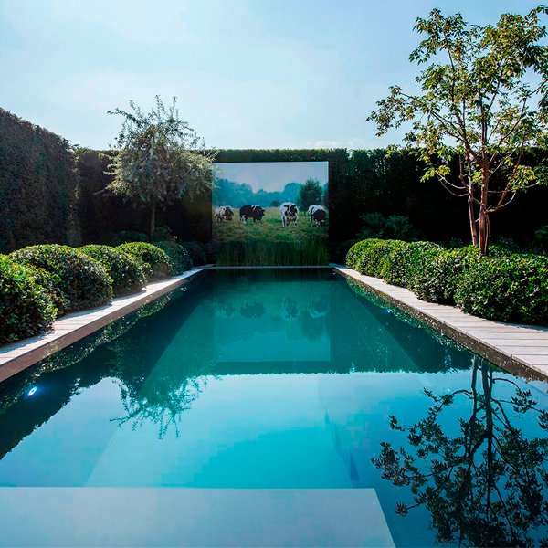 piscina desbordante con entorno en madera y vegetación