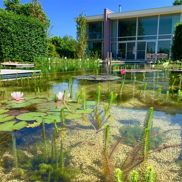 natural lap pool and garden, by Geoblauw