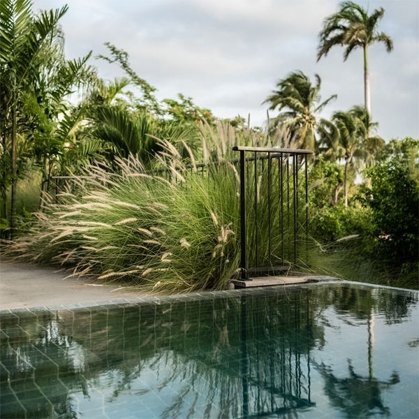 infinity pool in a project by Green Concept