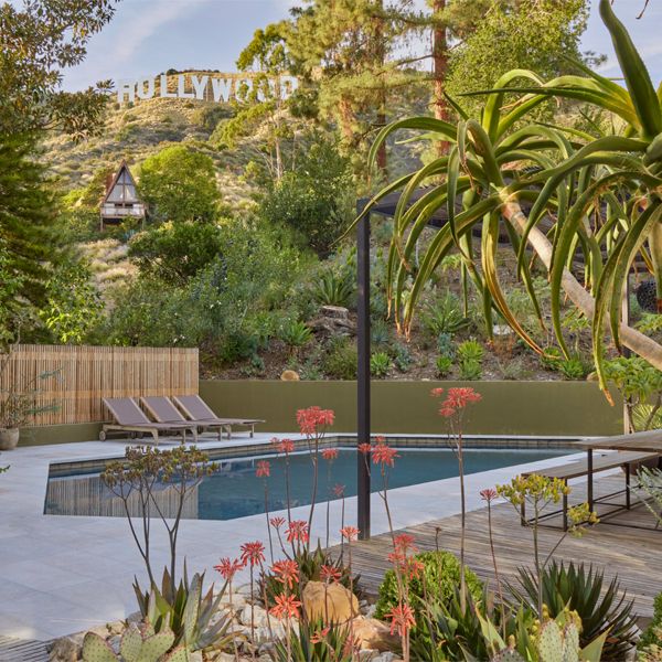 geometric pool in a Hollywood modern backyard, by Terremoto Landscape