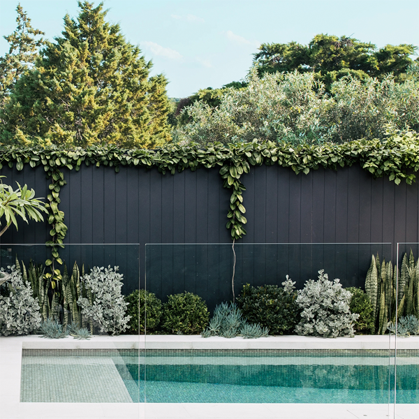 mini pool and garden