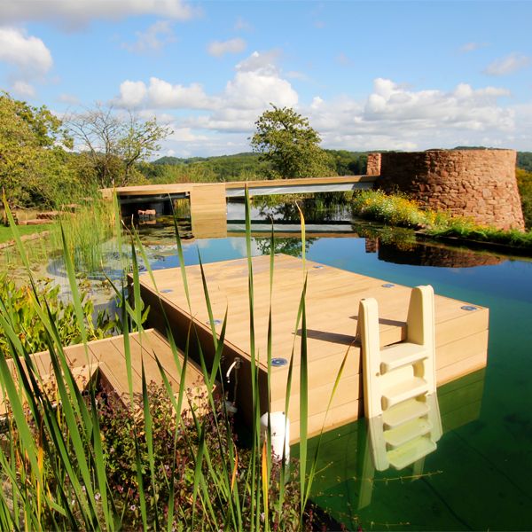 custom natural pool by Clear Water Revival