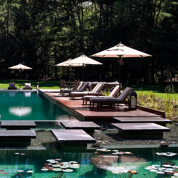 natural pool with relaxation area on wooden pool deck, by Artemis Landscape Architects