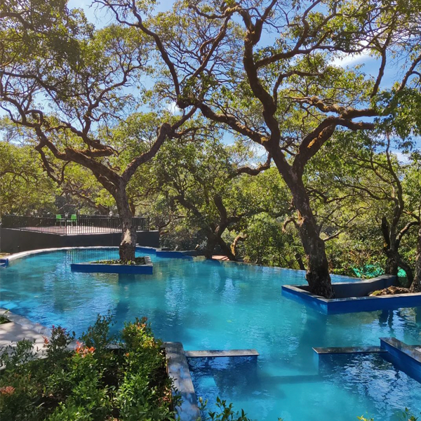 custom public infinity pool by Roman Aqua Pools