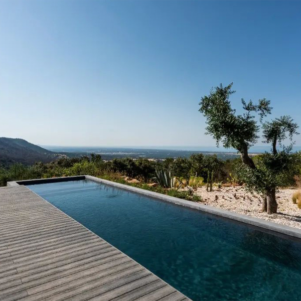 lap pool and lanscaping design by Vergati Creative Studio