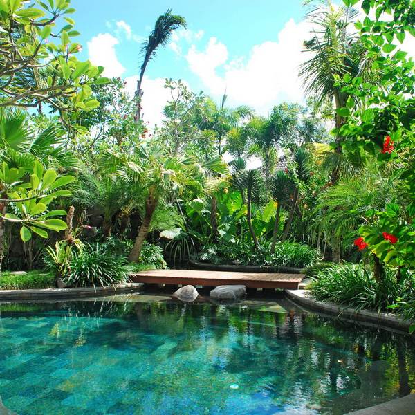natural pool par Bali Landscape Company