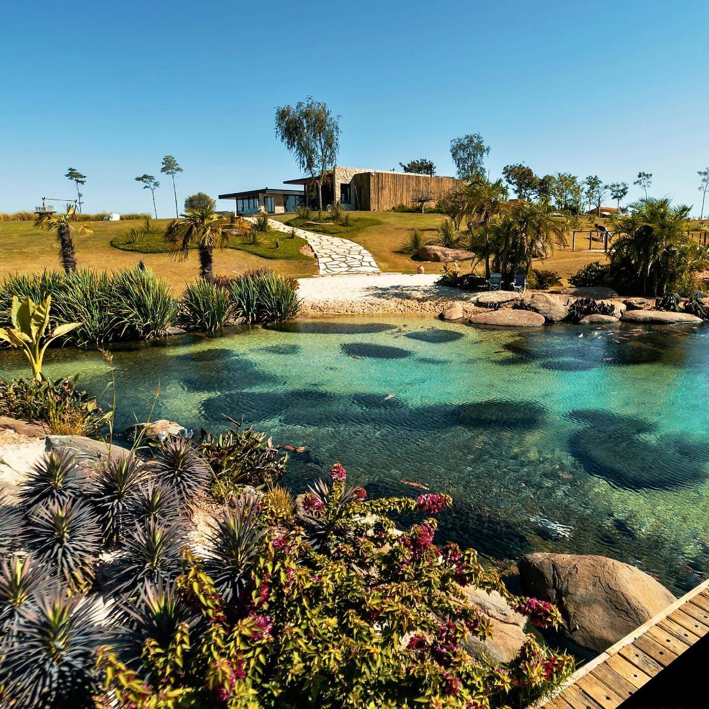 Natural lagoon pool with complete landscaping that includes rocks, vegetation, beach area, by Genesis Ecosystems
