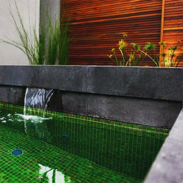 green overflow pool in the backyard