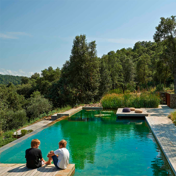 infinity natural pool in a Zest Architecture project