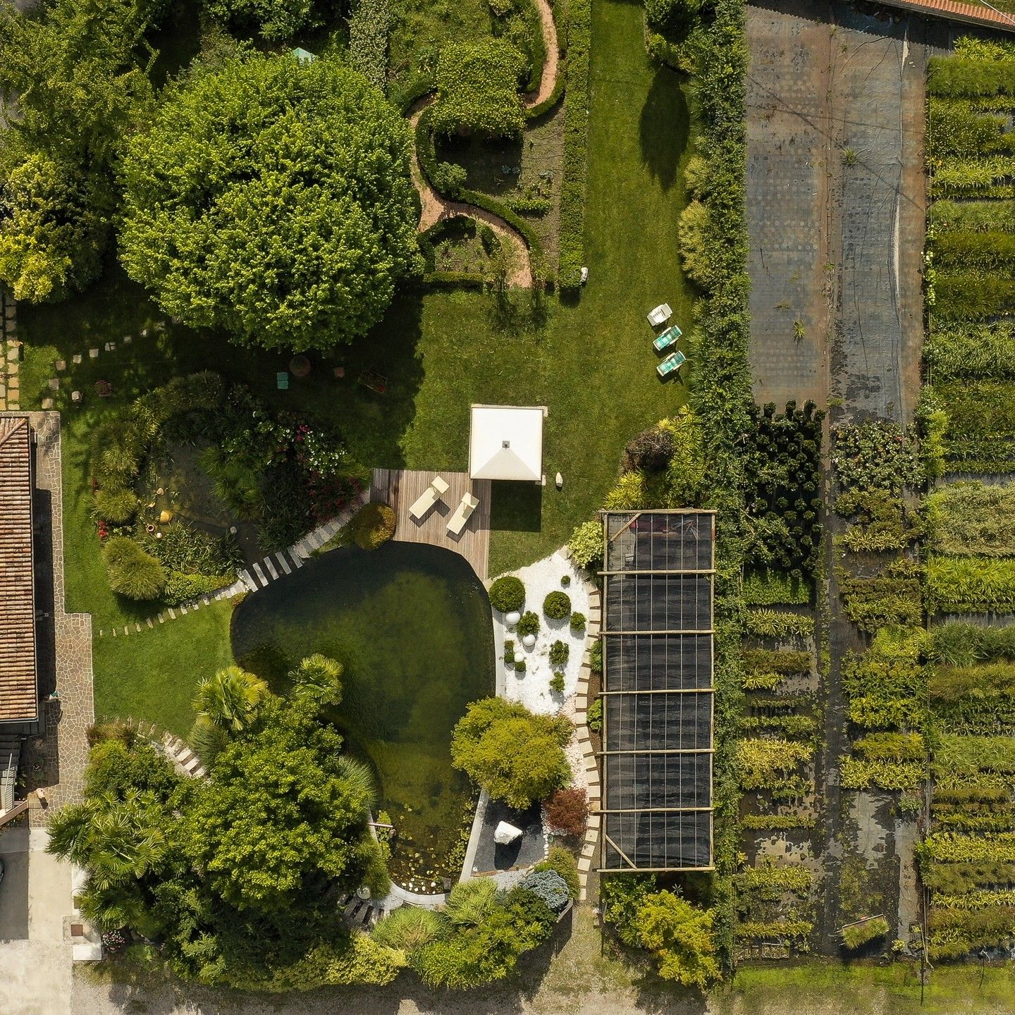 Drone view of a custom natural pool in a huge garden, by Paesaggio Italiano, with a lot of plants and trees and a wooden decking as solarium