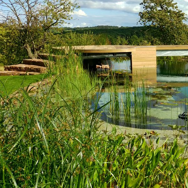custom natural pool by Clear Water Revival