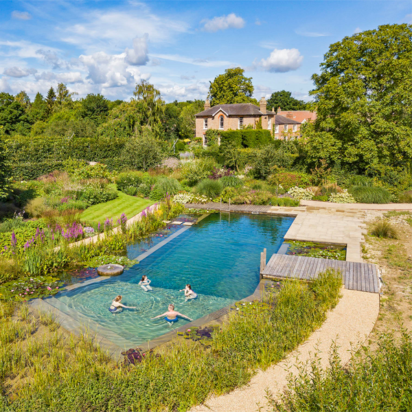 natural pool drone view by Ellicar
