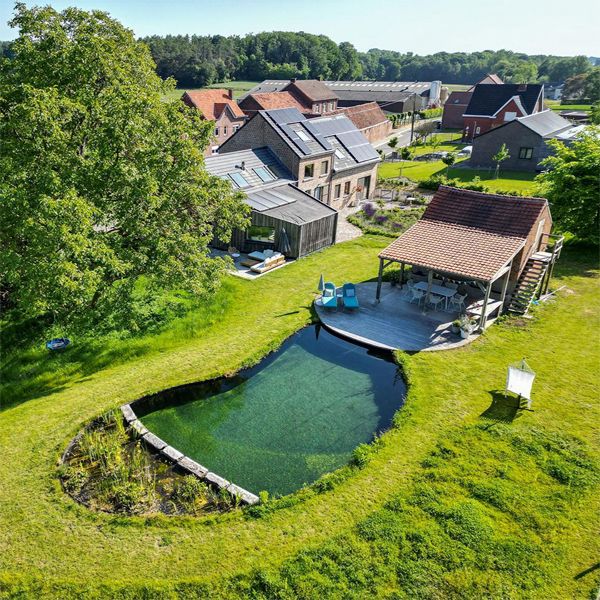Vue drone of a custom natural pool, by Tuinwerken Willemsens, built in a house in the middle of the countryside