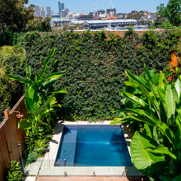 plunge pool in the garden