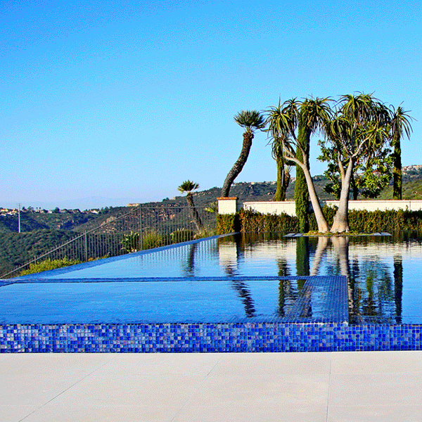 infinity pool by ams landscape design