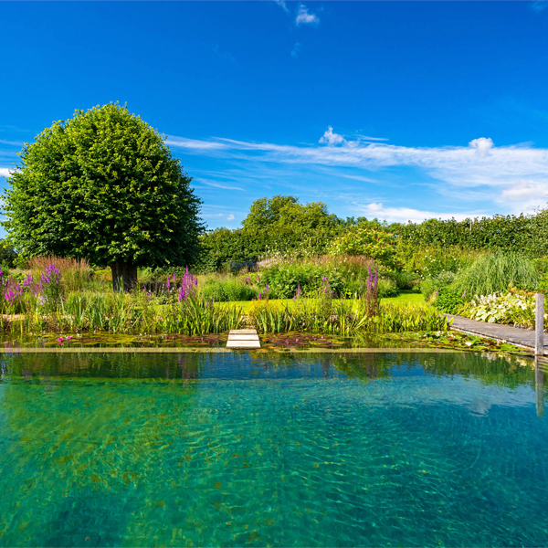 natural pool by Ellicar