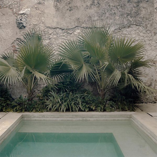 mini pool in a project by Veintediezz