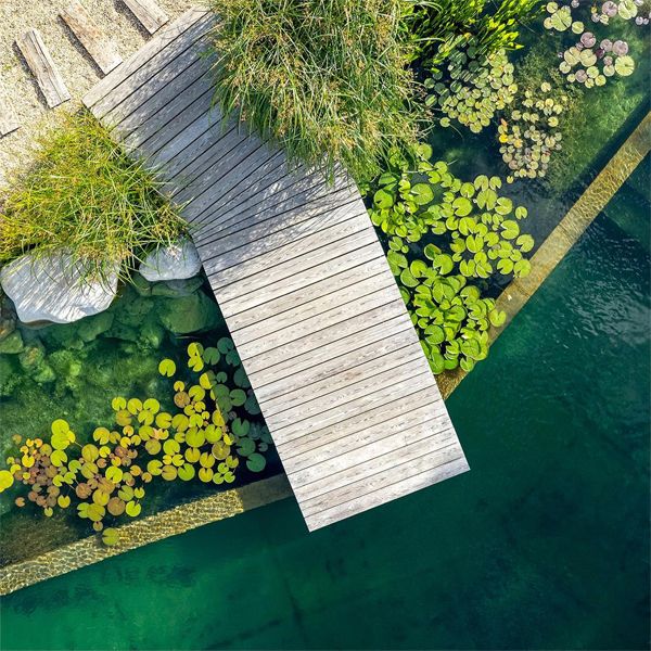 Natural pool details, including a wooden deck platform, by Natural Swimming Pools Ltd