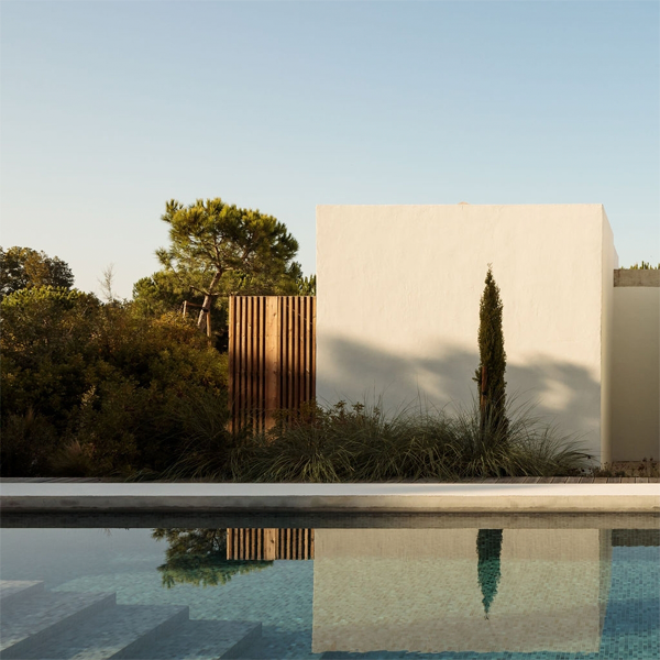 pool at sunset