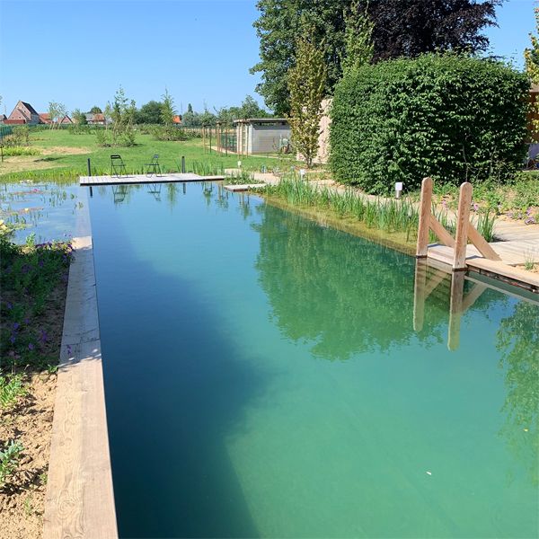 natural lap pool and garden, by Geoblauw