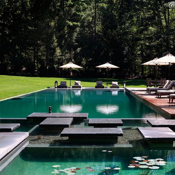 natural pool with relaxation area on wooden decking, by Artemis Landscape Architects
