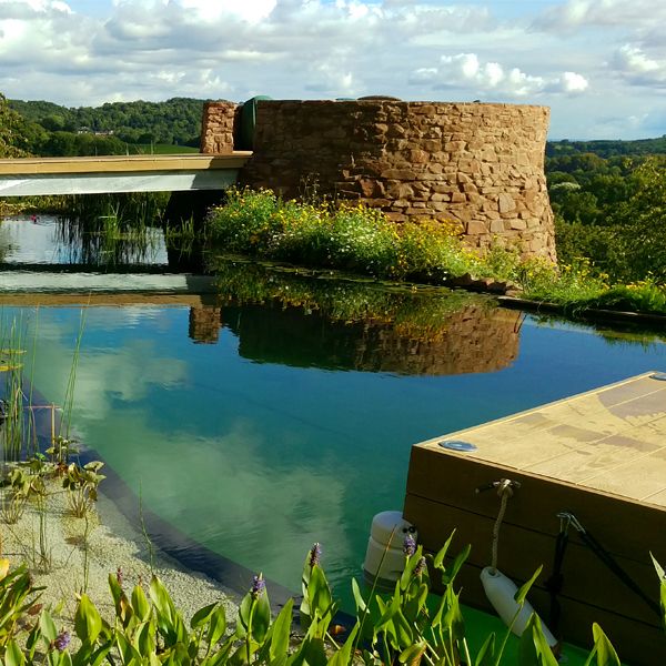custom natural pool by Clear Water Revival