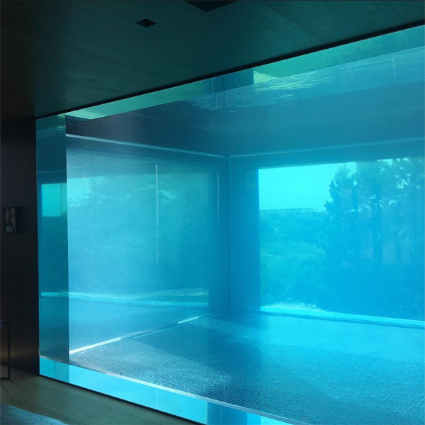 pool windows in a transparent pool by Barnes Coy Architects