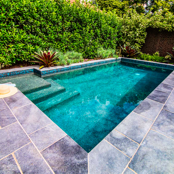 private pool surrounded by plants